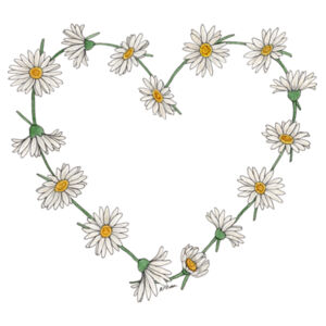 Daisy Love Cushion Cover Design