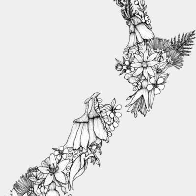 NZFLORA transparent background CLEAN copy Thumbnail